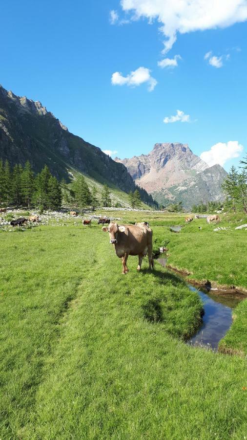 La Piana Appartamenti Alpe Devero Dış mekan fotoğraf
